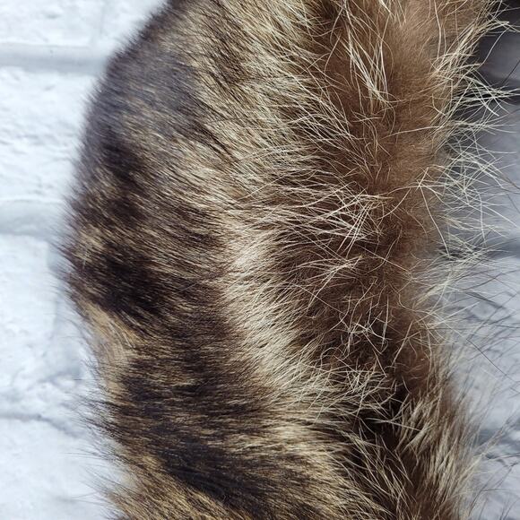 Vintage Raccoon Mob Wife Collar - Picture 4 of 6